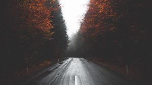 Preview wallpaper road, trees, autumn, fog, turn, asphalt