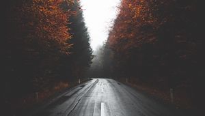 Preview wallpaper road, trees, autumn, fog, turn, asphalt