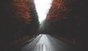 Preview wallpaper road, trees, autumn, fog, turn, asphalt