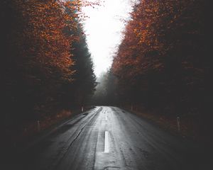 Preview wallpaper road, trees, autumn, fog, turn, asphalt