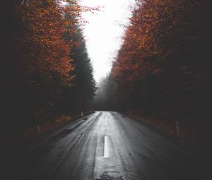 Preview wallpaper road, trees, autumn, fog, turn, asphalt