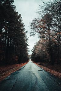 Preview wallpaper road, trees, autumn, asphalt, foliage