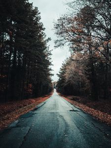 Preview wallpaper road, trees, autumn, asphalt, foliage