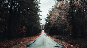 Preview wallpaper road, trees, autumn, asphalt, foliage