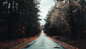 Preview wallpaper road, trees, autumn, asphalt, foliage