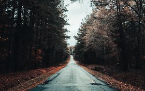 Preview wallpaper road, trees, autumn, asphalt, foliage