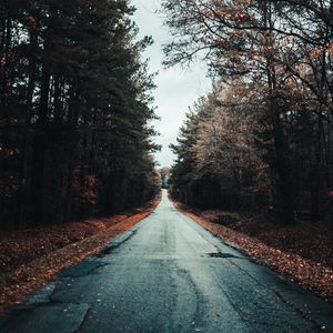 Preview wallpaper road, trees, autumn, asphalt, foliage