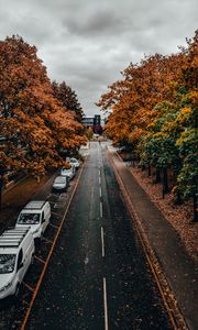 Preview wallpaper road, trees, autumn, street, alley