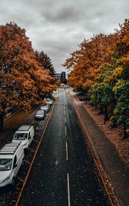 Preview wallpaper road, trees, autumn, street, alley