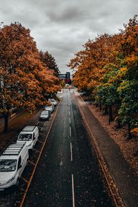 Preview wallpaper road, trees, autumn, street, alley