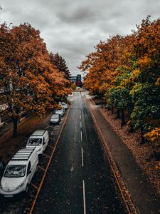 Preview wallpaper road, trees, autumn, street, alley