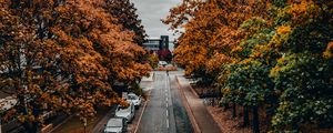 Preview wallpaper road, trees, autumn, street, alley