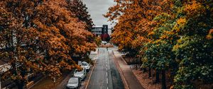 Preview wallpaper road, trees, autumn, street, alley