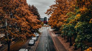 Preview wallpaper road, trees, autumn, street, alley