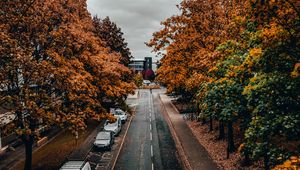 Preview wallpaper road, trees, autumn, street, alley