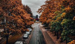 Preview wallpaper road, trees, autumn, street, alley