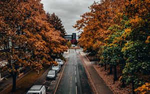 Preview wallpaper road, trees, autumn, street, alley