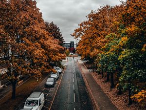 Preview wallpaper road, trees, autumn, street, alley