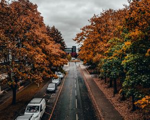 Preview wallpaper road, trees, autumn, street, alley