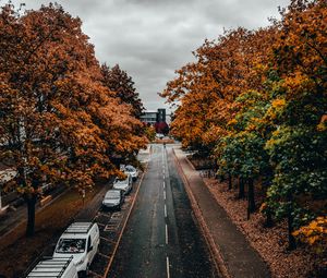 Preview wallpaper road, trees, autumn, street, alley