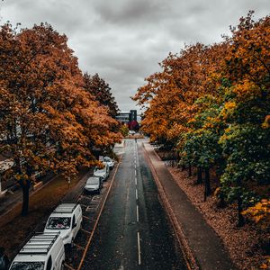 Preview wallpaper road, trees, autumn, street, alley