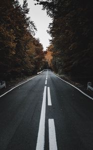 Preview wallpaper road, trees, autumn, asphalt, marking