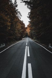 Preview wallpaper road, trees, autumn, asphalt, marking