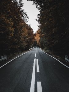 Preview wallpaper road, trees, autumn, asphalt, marking