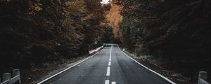 Preview wallpaper road, trees, autumn, asphalt, marking