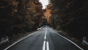 Preview wallpaper road, trees, autumn, asphalt, marking