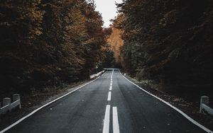 Preview wallpaper road, trees, autumn, asphalt, marking