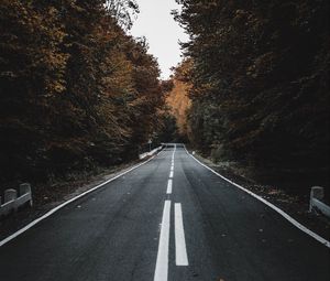 Preview wallpaper road, trees, autumn, asphalt, marking