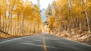 Preview wallpaper road, trees, autumn, asphalt, landscape