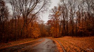 Preview wallpaper road, trees, autumn, nature