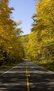 Preview wallpaper road, trees, autumn, alley