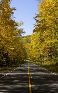 Preview wallpaper road, trees, autumn, alley