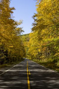 Preview wallpaper road, trees, autumn, alley