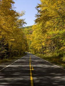 Preview wallpaper road, trees, autumn, alley