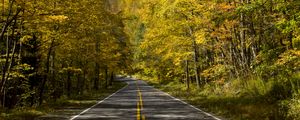 Preview wallpaper road, trees, autumn, alley