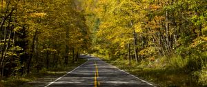 Preview wallpaper road, trees, autumn, alley