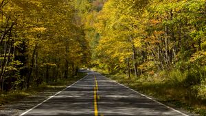 Preview wallpaper road, trees, autumn, alley