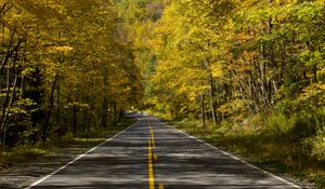 Preview wallpaper road, trees, autumn, alley