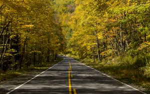 Preview wallpaper road, trees, autumn, alley