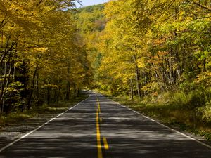 Preview wallpaper road, trees, autumn, alley