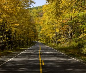 Preview wallpaper road, trees, autumn, alley