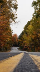 Preview wallpaper road, trees, autumn, marking, distance