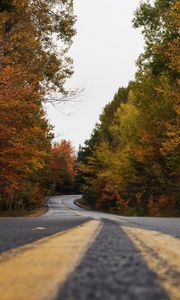 Preview wallpaper road, trees, autumn, marking, distance