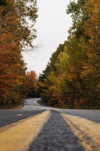 Preview wallpaper road, trees, autumn, marking, distance