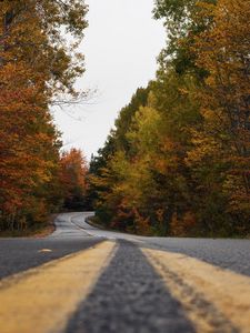 Preview wallpaper road, trees, autumn, marking, distance