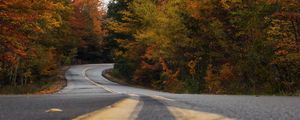 Preview wallpaper road, trees, autumn, marking, distance